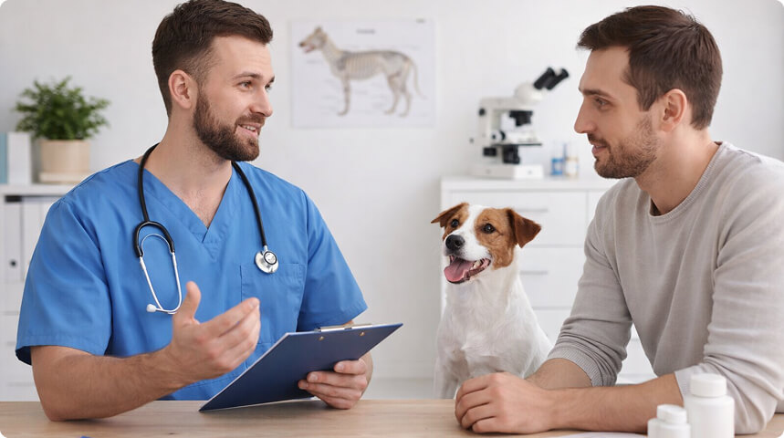 сидят за столом, рядом сидит джек-рассел